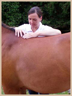 `Hand ans Pferd` Pferdeosteopathie - Untersuchung Brustwirbel
