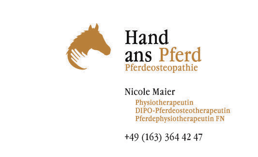 weiter zur Homepage von `Hand ans Pferd`