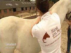 Hand-ans-Pferd.de in der WDR Lokalzeit Aachen